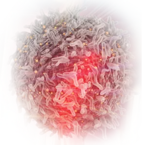 cancer cell