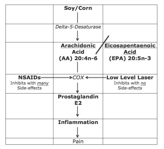 Erchonia Dynamic Chiropractic Dr. Dan Murphy Pain Image Flowchart illustrating the effect of NSAIDs and low-level laser therapy on inflammation and pain