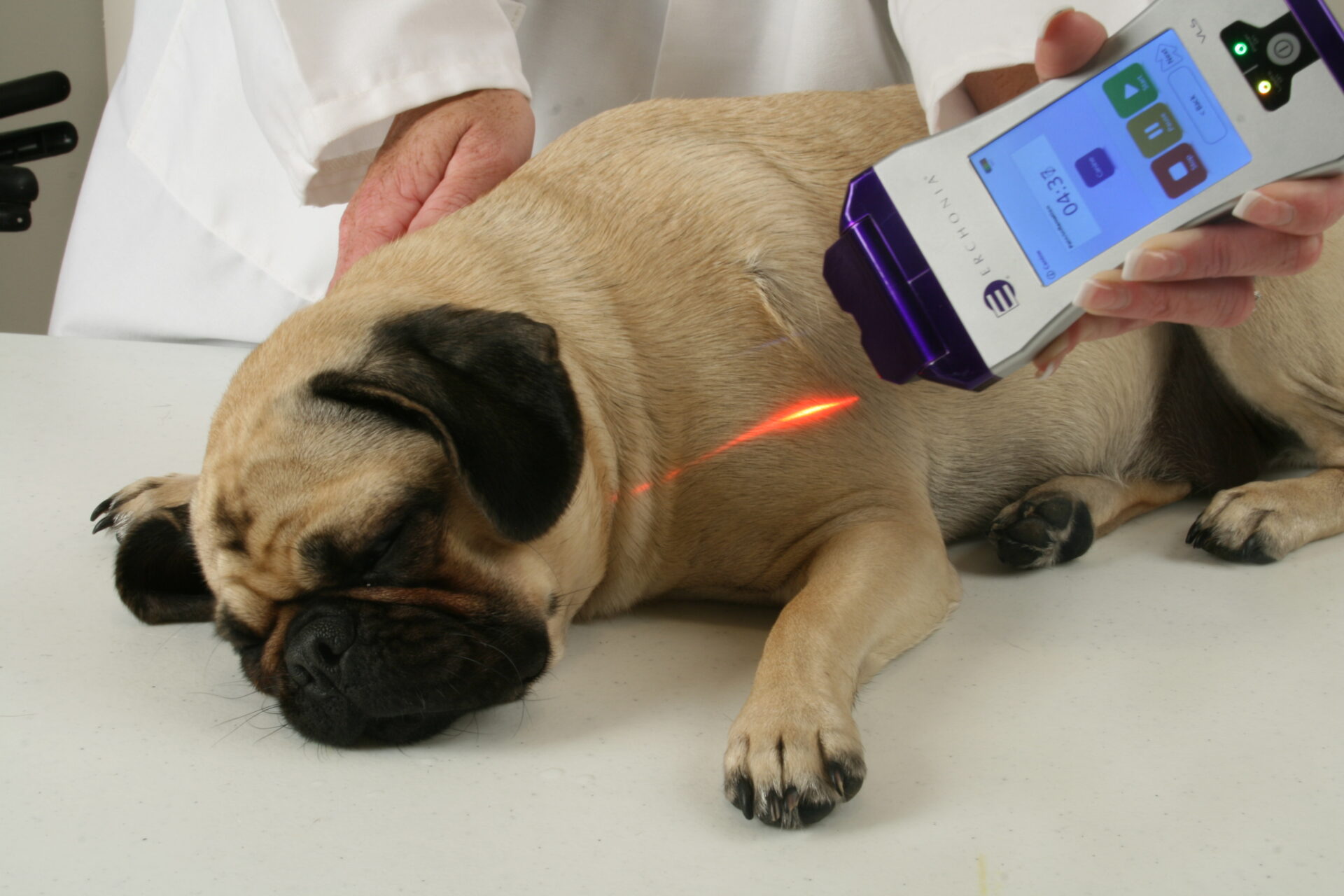 A veterinarian treating a patient with an Erchonia handheld laser
