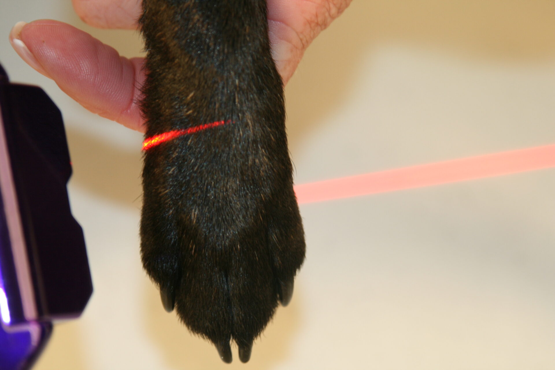 Post-operative site