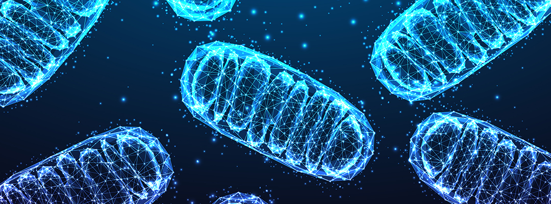 Mitochondria under microscope on dark blue background in futuristic glowing low polygonal style.