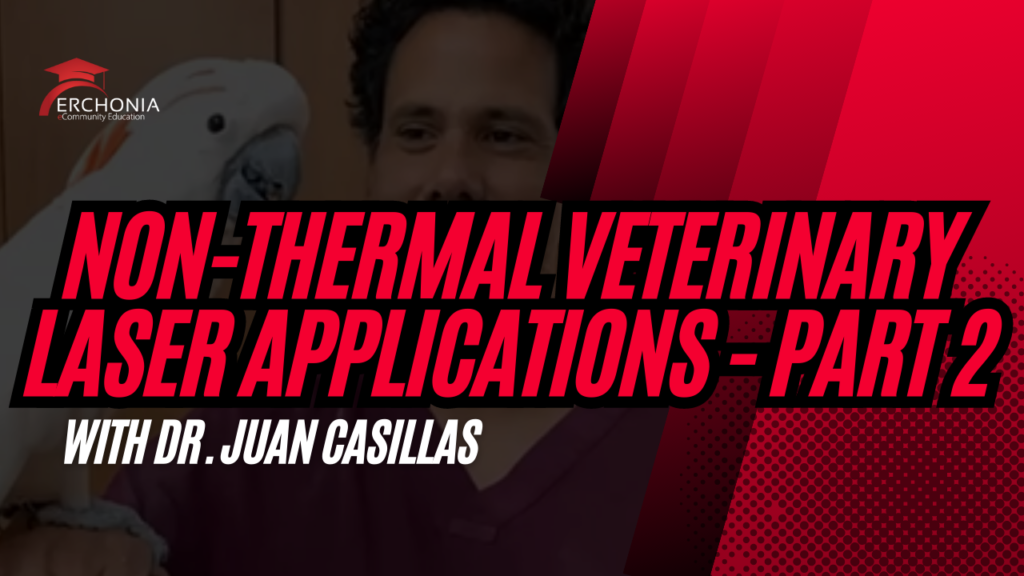 Non-Thermal Veterinary Laser Applications Pt.2 | Dr. Juan Casillas