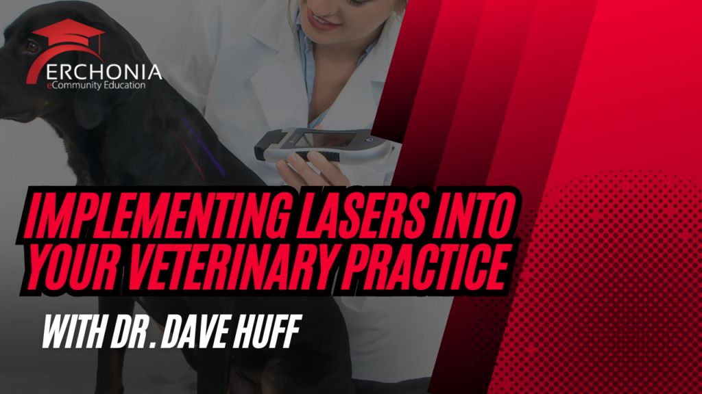 How to Implement Low Level Laser Therapy in Your Veterinary Practice | Dr. Dave Huff