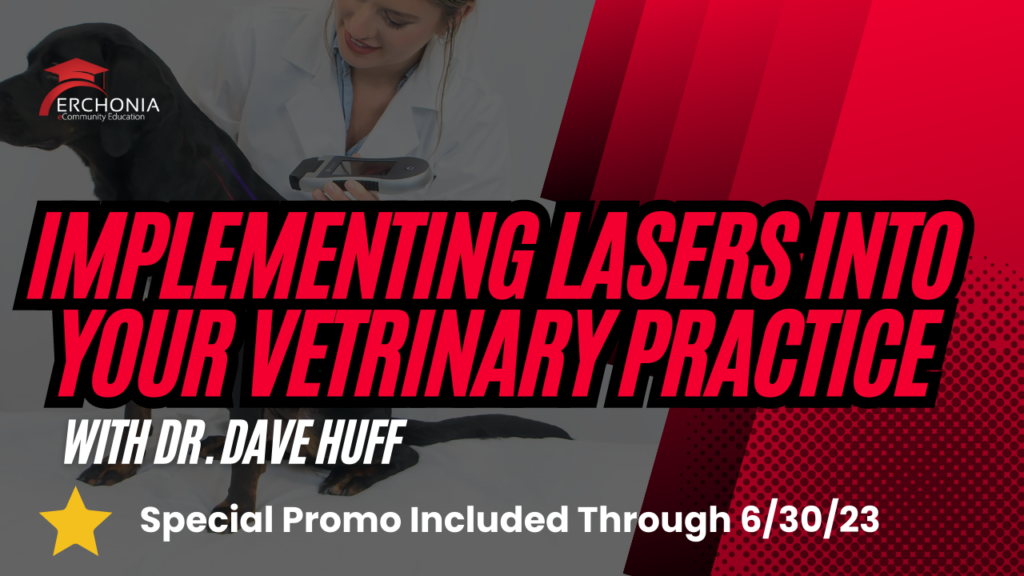 How to Implement Low Level Laser Therapy in Your Veterinary Practice | Dr. Dave Huff