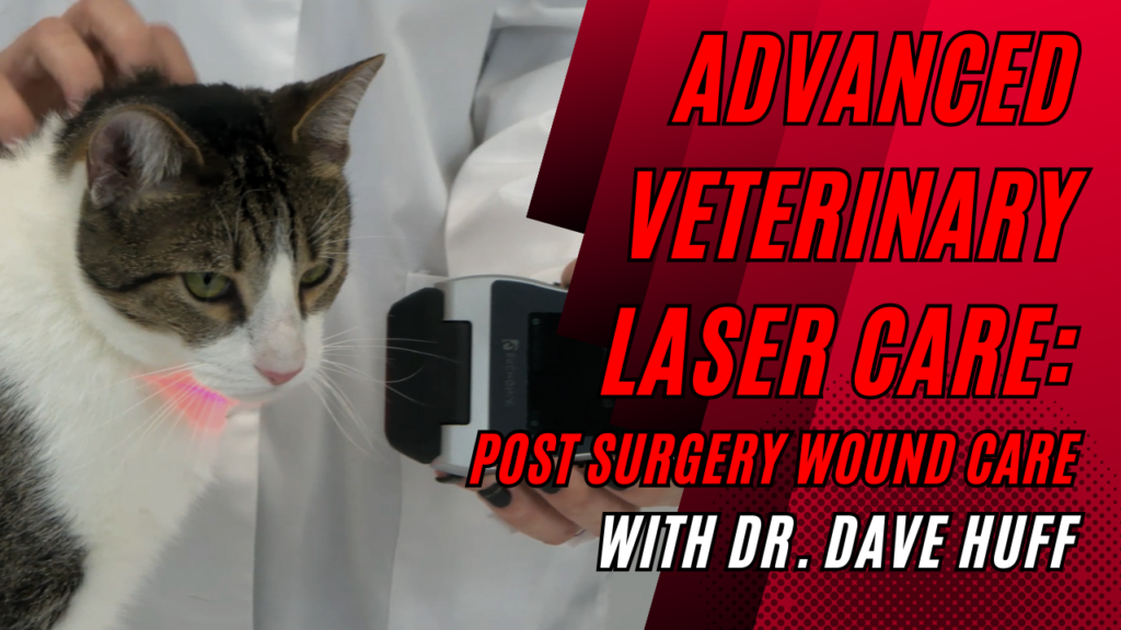 Advanced Veterinary Laser Care: Post Surgery Wound Care | Dr. Dave Huff