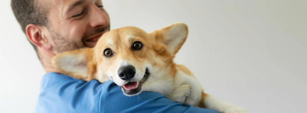 What is Veterinary Laser Therapy?