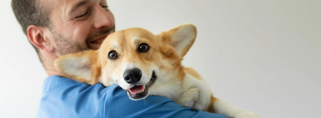 Happy dog at vet