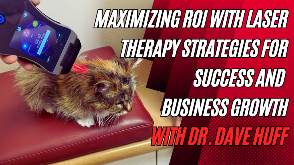 Maximizing ROI with Laser Therapy Strategies for Success and Business Growth
