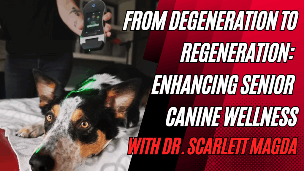 Hot Topic: From Degeneration to Regeneration – Enhancing Senior Canine Wellness with Dr. Scarlett Madgda