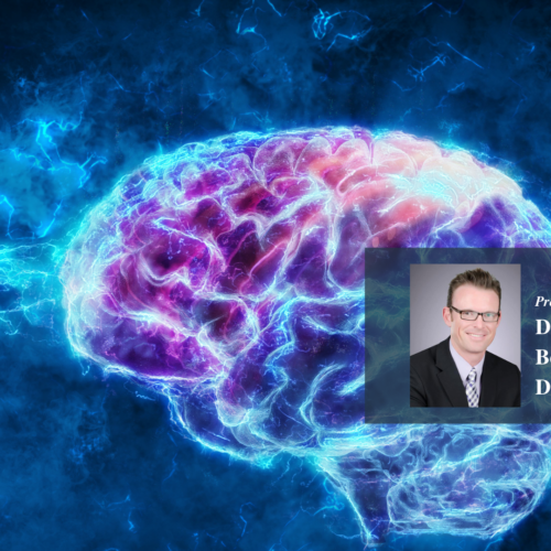 Berry_Mind-Body-Connection_Website Graphic of the brain