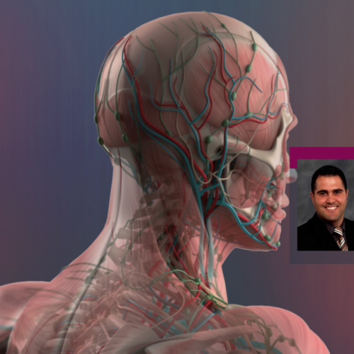 Camelli-Website-Header-2020-3 Graphic of the human head anatomy