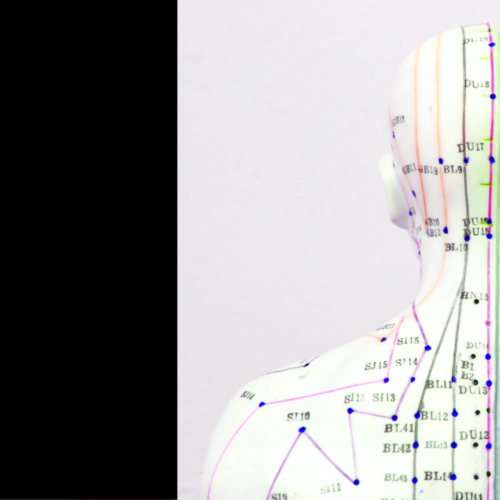 Dillberg_TCM-Webinar_12.09.20-Website-1 Meridians on the back of the neck