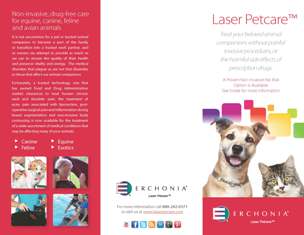 Vet-Patient-Brochure Brochure for laser petcare