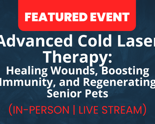 Website-Featured-Event-Image-16 Advanced Cold Laser Therapy: Healing Wounds, Boosting Immunity, and Regenerating Senior Pets | LIVE STREAM AVAILABLE