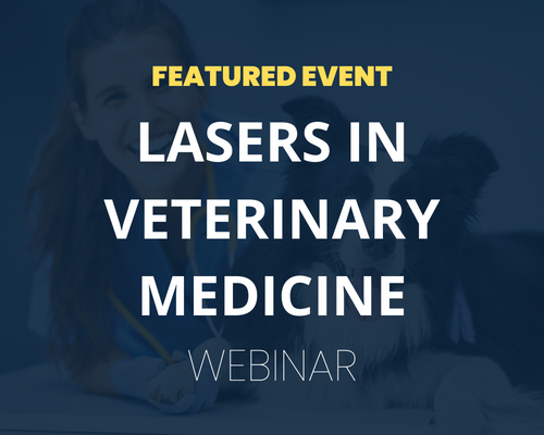 Website-Featured-Event-Image-26-1 How to Successfully Integrate Therapeutic Lasers into Veterinary Medicine