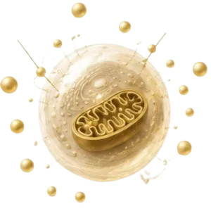 Cell signaling