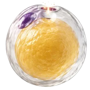 The pore forms
